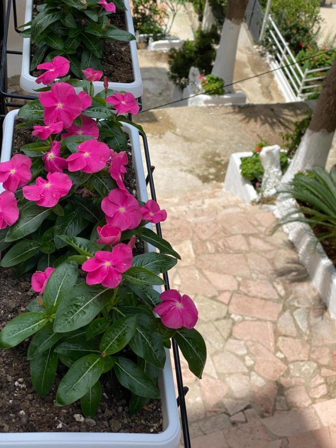 Apartamente Berti'S Garden Sarandë Exteriör bild