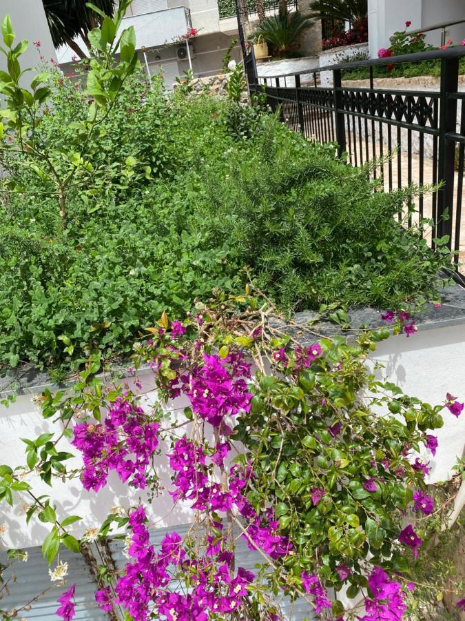 Apartamente Berti'S Garden Sarandë Exteriör bild