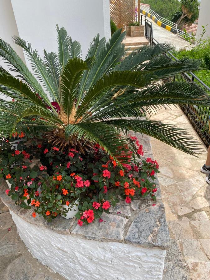 Apartamente Berti'S Garden Sarandë Exteriör bild